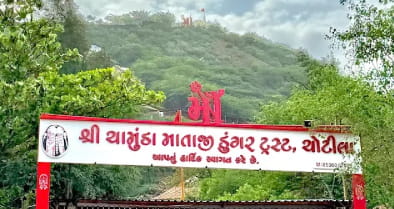 Bahucharaji Mata Temple rooster vehicle symbol, Becharaji Gujarat