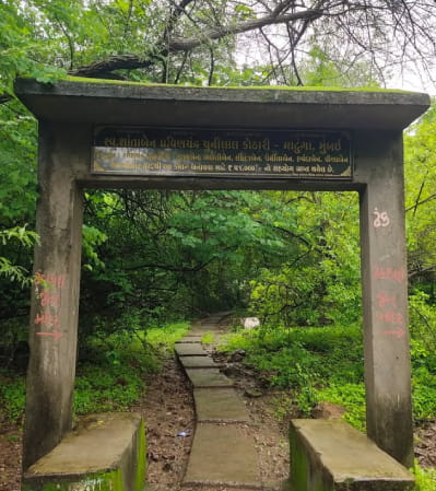 Osam Hill Patanvav trekking trail view, Junagadh Gujarat
